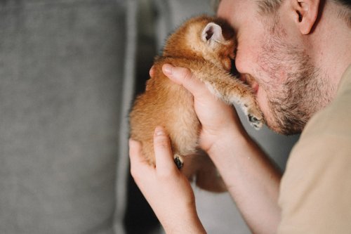A man holding a small dog in his hands