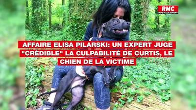 Affaire Pilarski : euthanasie du chien Curtis suspendue