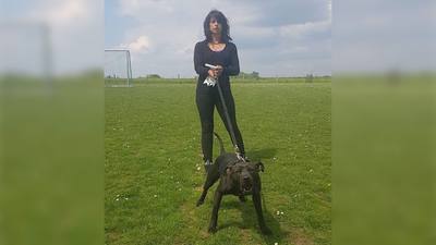 Mort d'Élisa Pilarski : Christophe Ellul fait appel, l'euthanasie du pitbull Curtis suspendue