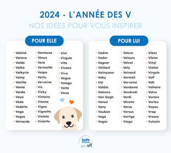 Station de lavage pour chiens à Angers