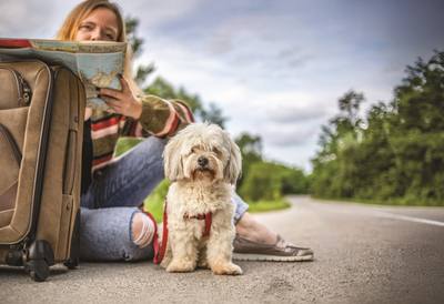 Ikea autorise les chiens dans ses magasins hors de France