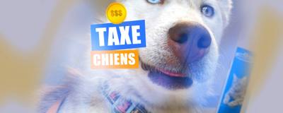 Taxe de 100€ sur les chiens envisagée