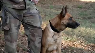 Disparition d'une octogénaire à Bourbriac