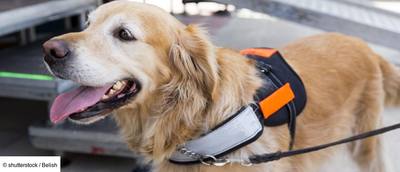 Un Chien Pour La Vie - S1 E9