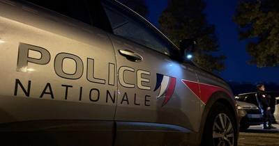 Un chien poignardé 9 fois à Metz, trois personnes interpellées