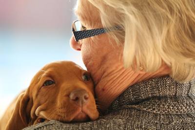 L'alliance entre le chien et le vieux - Mag'Centre