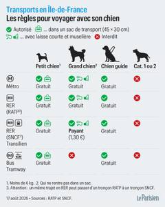 Métro, RER, bus… Quand voyager avec son chien se transforme en casse-tête