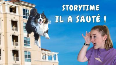 Dieppe : un chien saute du troisième étage