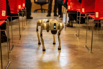 Robots-chiens remplacent les agents de sécurité