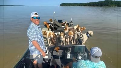 Mexique: des pêcheurs sauvent un chien perdu au milieu de l'océan