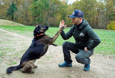 Sauvetage d'un chien à Cabourg