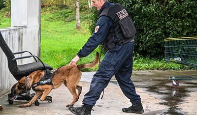 Malinois poignardé sur un balcon