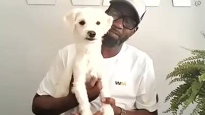 Éboueur sauve un chien