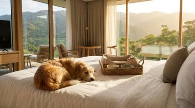 Club Med avec son chien : 3 hôtels dog friendly où partir en vacances