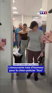 Haie d'honneur pour le chien policier Ace