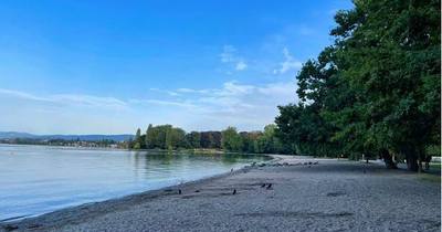 Suisse. Après s'être baigné dans le lac Léman, un chien meurt brutalement