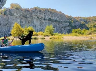 Un chien en Cévennes : les coins baignade à privilégier dans le Gardon et la Cèze avec son animal de compagnie