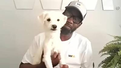 Un éboueur adopte un chien abandonné dans sa benne