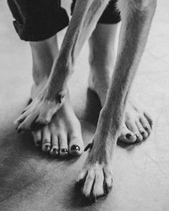 13 photos prouvant que les chats et les chiens peuvent être à la fois drôles et touchants - Woopets