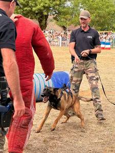 Démonstrations spectaculaires des chiens de la gendarmerie