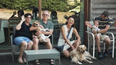 Huit destinations normandes labellisées 'Toutourisme' pour voyager avec son chien