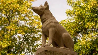 Cimetière des Chiens d'Asnières
