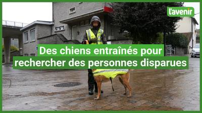 Recherchée depuis vendredi, la disparue de Bourbriac retrouvée vivante dans les bois