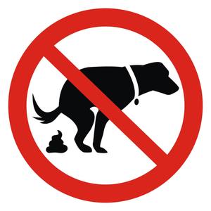 Bruit, crottes de chien, stationnement : la réponse pleine d'humour de cette mairie face aux incivilités