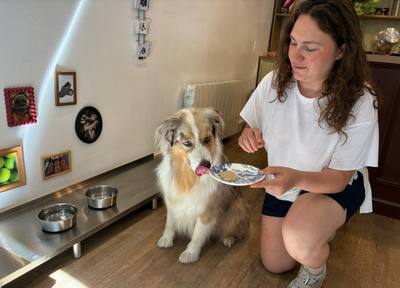 Lyon 2e : une entrepreneure nourrit ses clients avec des plats faits maison pour leurs chiens