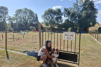 Comportements canins expliqués