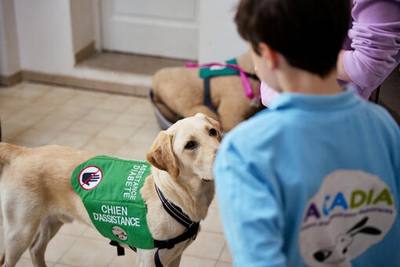 Handi'Chiens et Purina