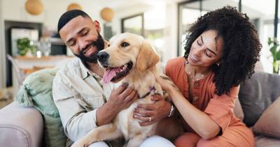 Voici pourquoi vous devriez sourire à votre chien, selon cette nouvelle étude