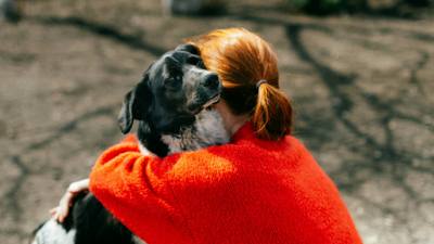 Une étude prouve que les chiens cherchent activement à consoler les humains qui pleurent