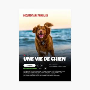 Les hôtels de Cognac accueillent désormais les chiens