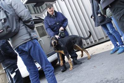 Chien gendarme en Eure-et-Loir