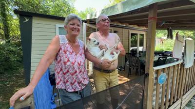 L'accueil des chiens devient un critère clé pour les vacanciers