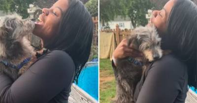VIDÉO. Une femme retrouve son chien cinq ans après l'avoir perdu