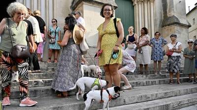 Bénédiction de chiens à Montpellier
