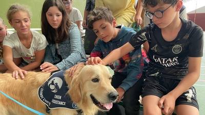 Utop, un golden retriever à l'Espace Jeune
