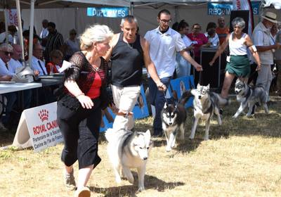 Expo canine : les chiens ont fait le show à L'Isle-Adam