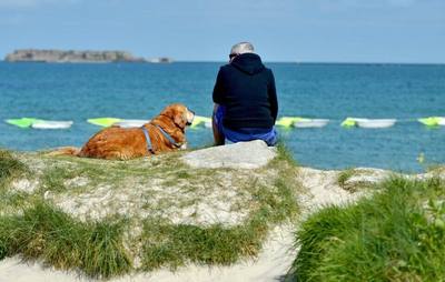 Vacances avec son chien : quelles plages sont accessibles cet été dans la Manche ?