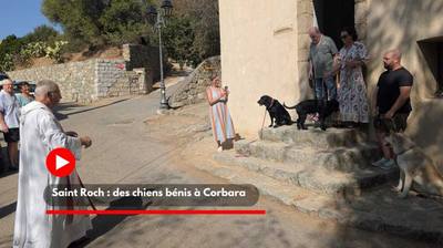 Colombie : une femme meurt en protégeant son chien aveugle lors du séisme
