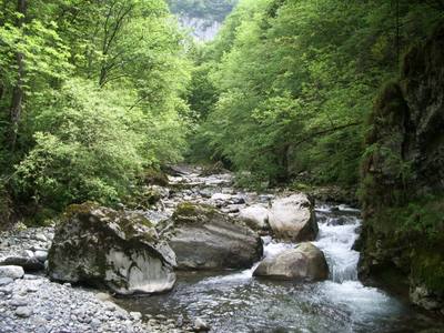 Haute-Savoie. Une femme chute dans le Giffre avec ses chiens, l'un d'entre eux porté disparu