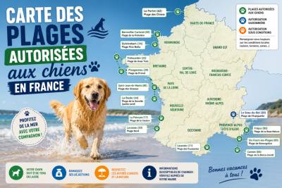 Carte des plages pour chiens en Espagne 2026