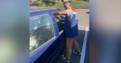 Chien sauvé après avoir été enfermé dans une voiture au soleil