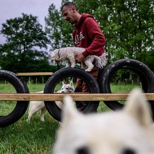 Terre de Woof