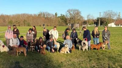 Muret. Canicule : protégez aussi votre chien