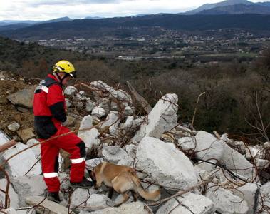 Séisme en Colombie: ce chien a survécu sous les décombres grâce au sacrifice de sa maîtresse - Le magazine GEO