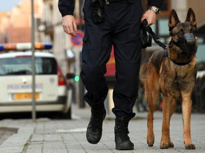 Keuf, le chien policier