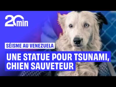 Une statue érigée en hommage au chien héros Tsunami au Venezuela